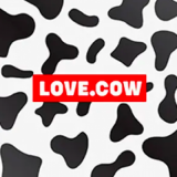 Love Cow Love Cow