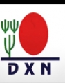 DXN DUBAI