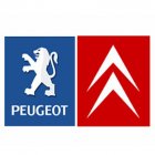 Al Basel for Peugeot & Citroen